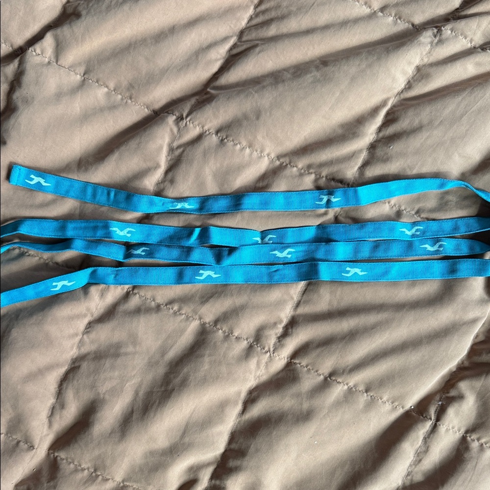 Hollister wrap belt